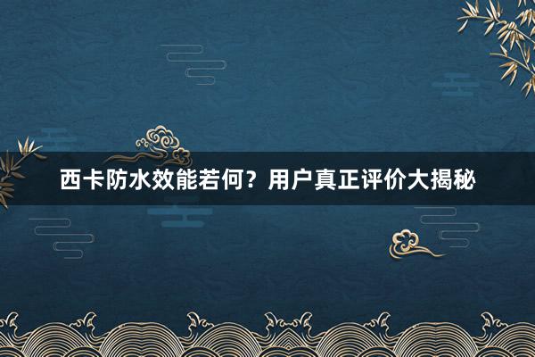 西卡防水效能若何？用户真正评价大揭秘